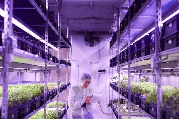 Going Vertical: Maximizing Space with Vertical Growing Solutions