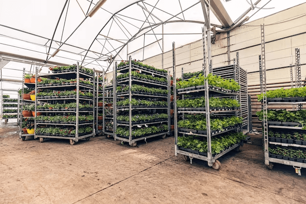 Mobile Grow Rack System for Horticulture Indoor Planting
