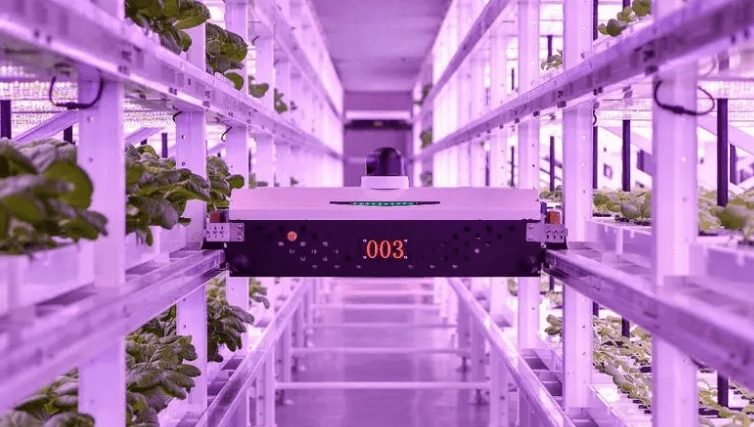 Tips for Buying Vertical Growing System