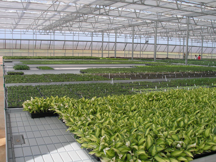 hydroponic drain table