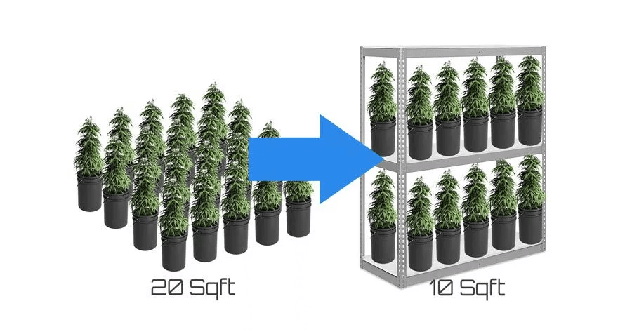 How to Grow Hemp with Vertical Grow Racks