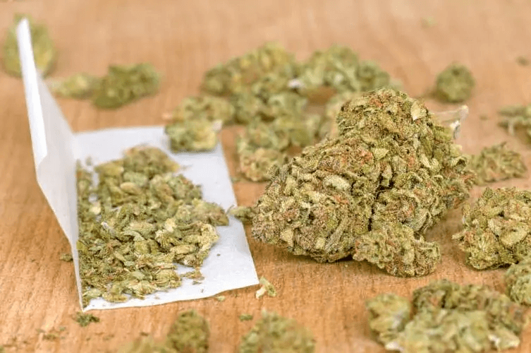 How To Tell When Cannabis Is Dry