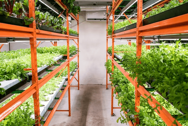 Does Vertical Farming Use Soil