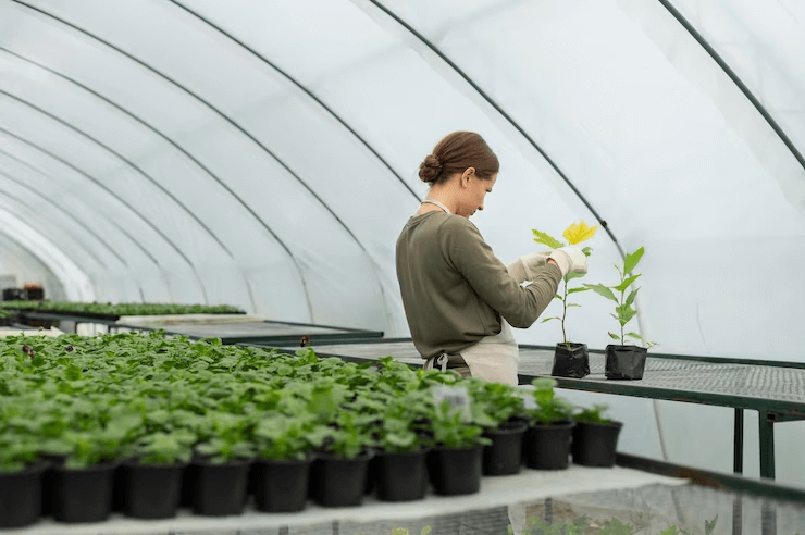 How Mobile Grow System Grew Into the Horticulture Industry
