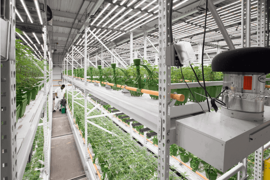 How Vertical Farming Works