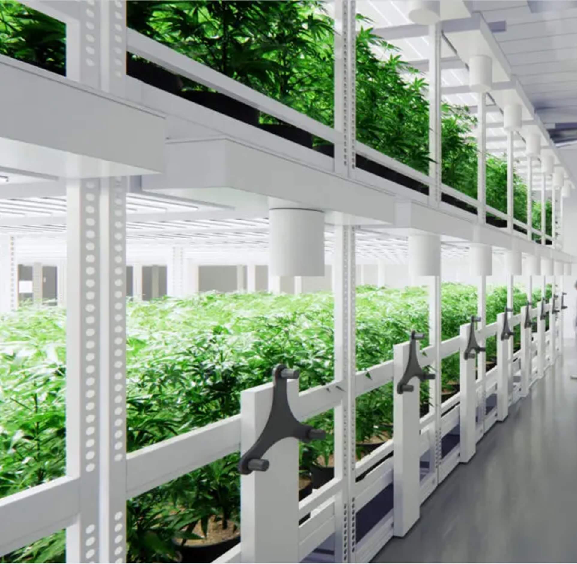  What is profitable to grow on a vertical farm?
