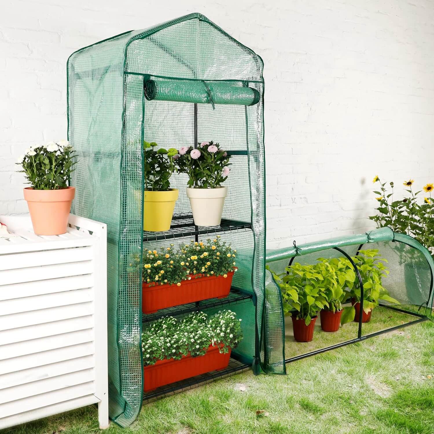 greenhouse vegetable garden