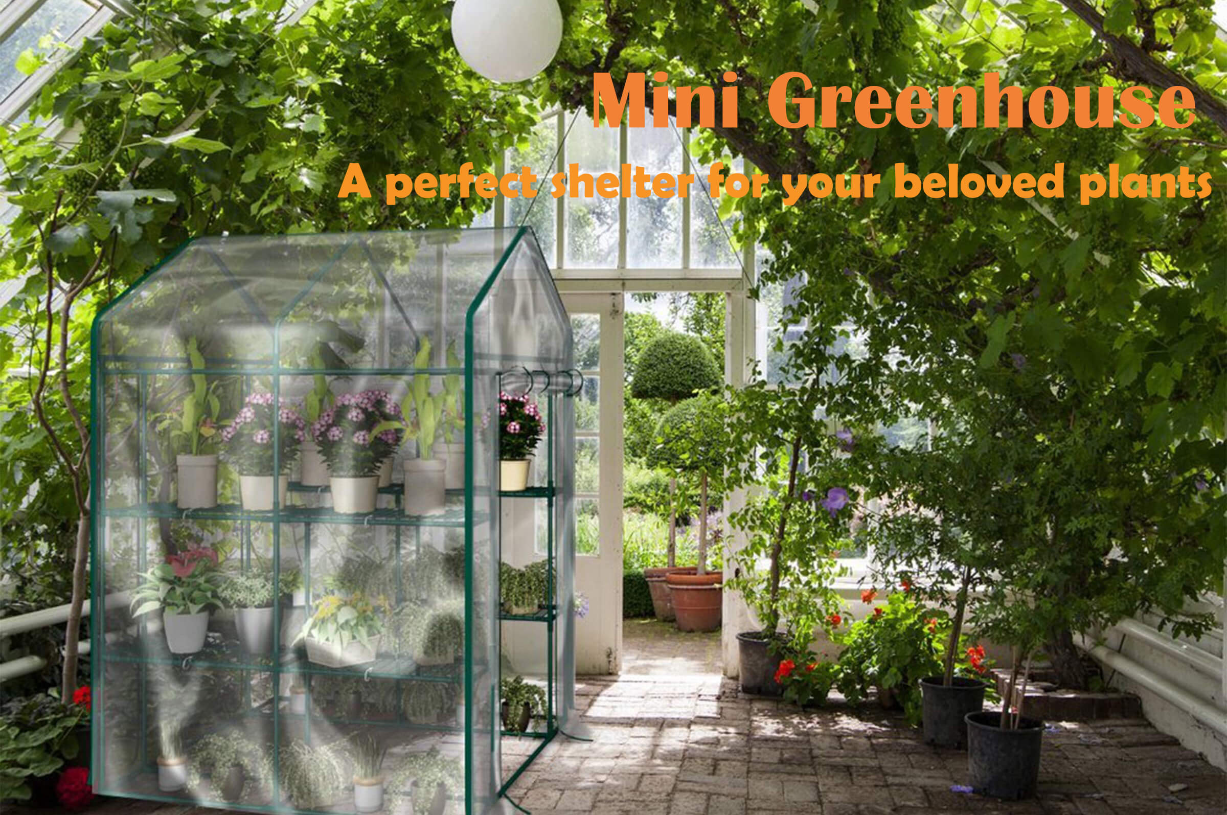 backyard greenhouse ideas