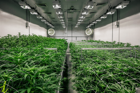 mobile grow system.png