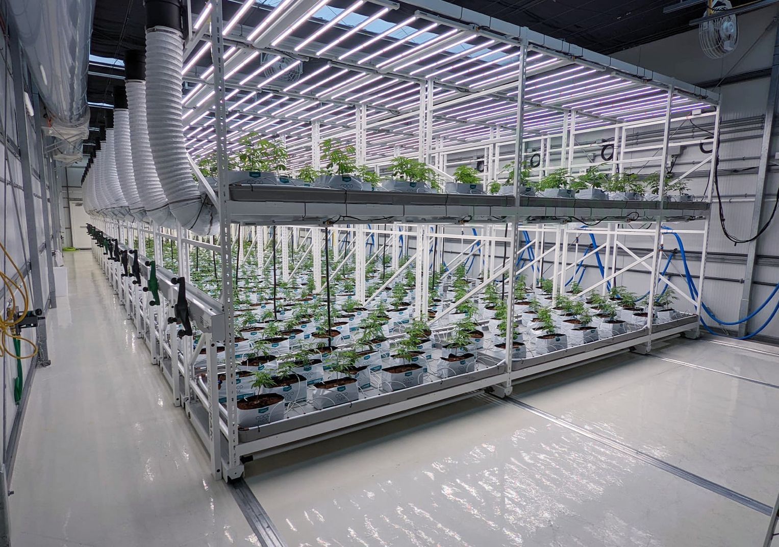 Mobile Vertical Grow Rack