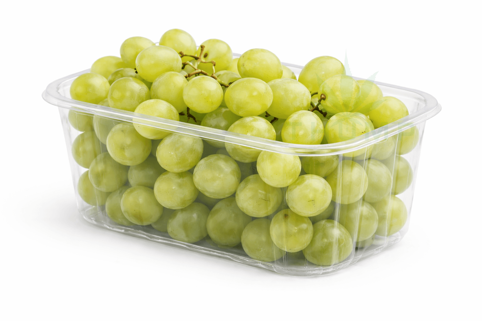 Wholesale Fruit Punnets