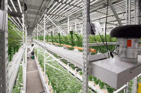 vertical grow rack.png