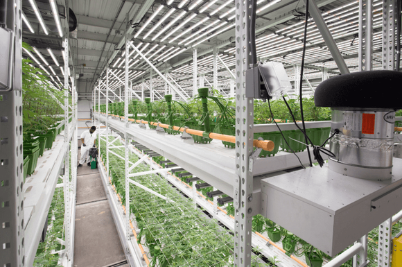vertical grow rack.png