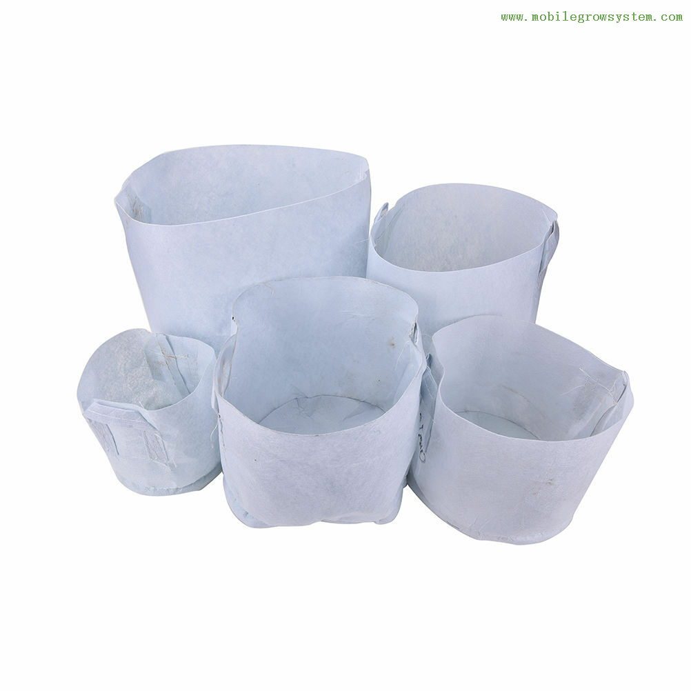 Fabric Felt Grow Bags Sale for Indoor & Outdoor Gardening Thump