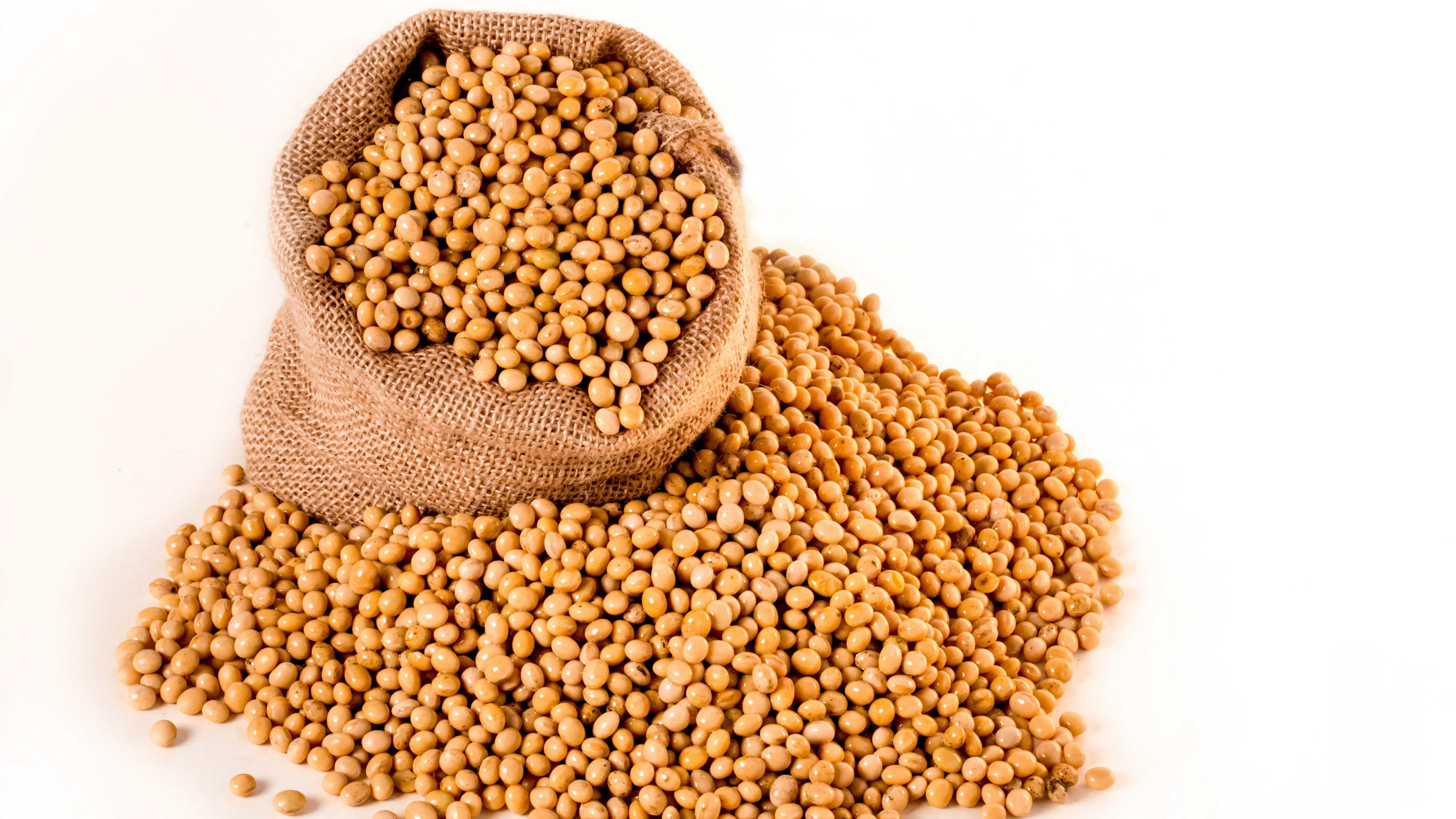Brazil's soybean exports exceeded last year's total