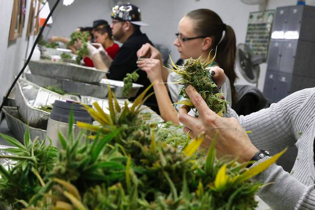 The US House of representatives will consider the marijuana related bill
