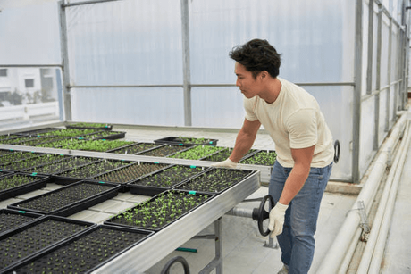 Rolling Greenhouse Bench.png