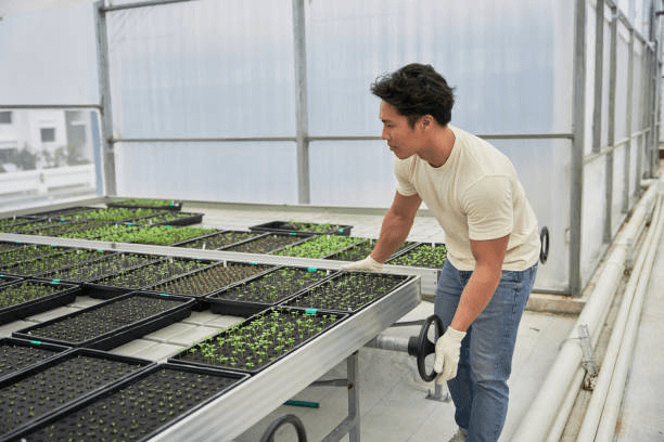 What is the Ideal Width and Length for a Rolling Greenhouse Bench?
