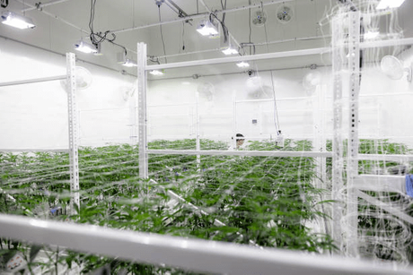 vertical grow rack system.png