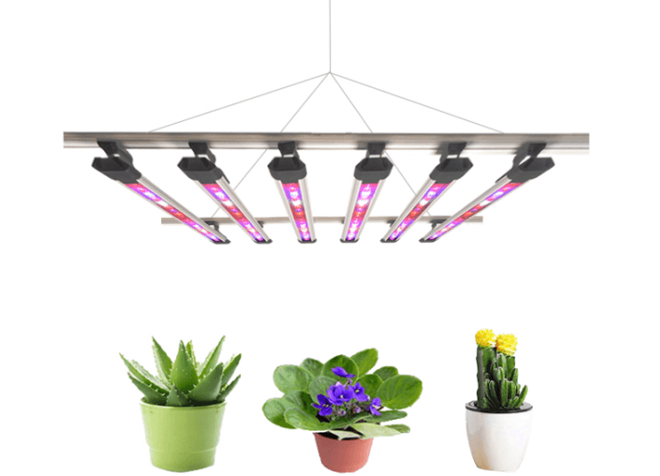 Are LED lights any good for growing plants?