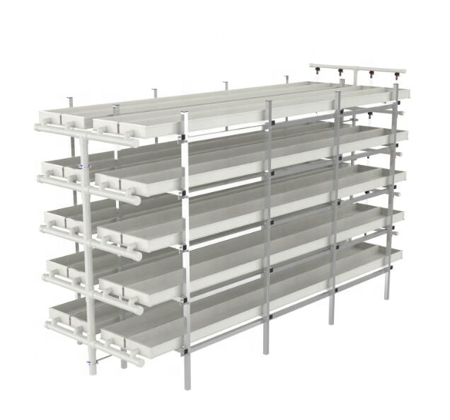 Growing Fodder in Greenhouse_hydroponic Fodder Growing Systems