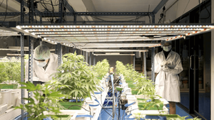 vertical grow rack.png