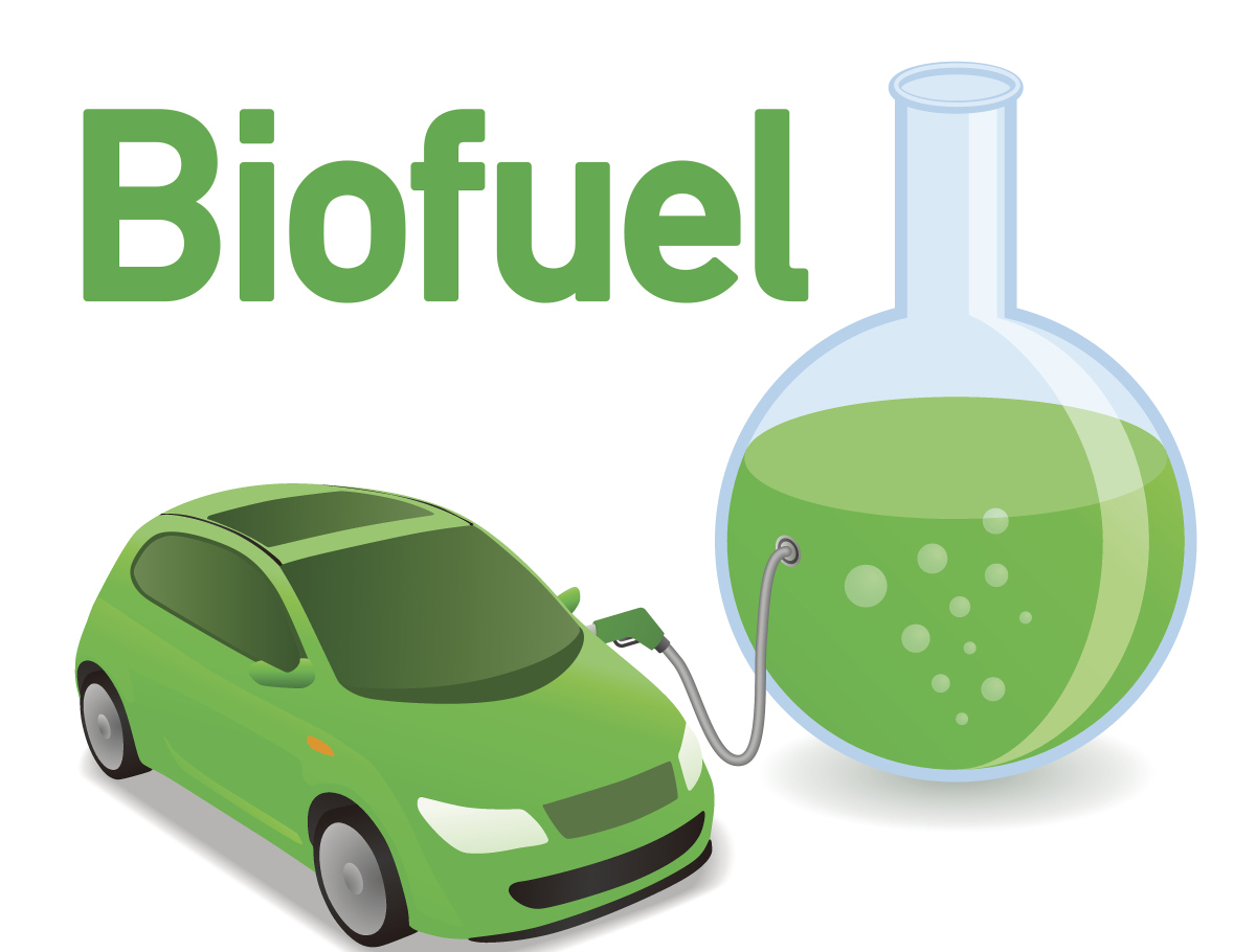 ABIOVE pays attention to biodiesel policy