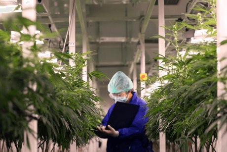 vertical grow system.png