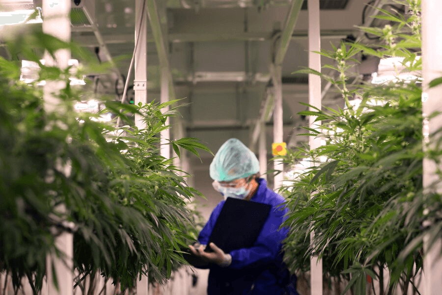 What is the Ideal Setup for a Vertical Grow Rack in an Indoor Farm?