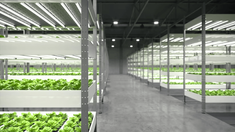 Maximizing Space and Efficiency: Exploring the Advantages of Indoor Vertical Farming