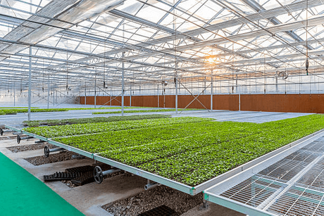 commercial greenhouse benches.png