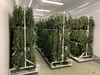 Mobile Vertical Cannabis Drying Racks