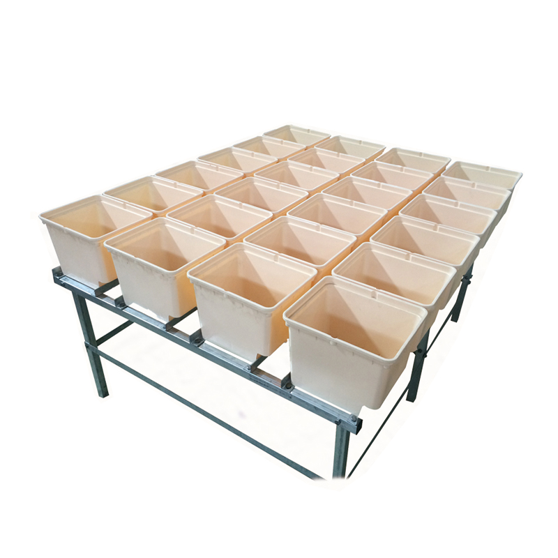 Complete Hydroponic Dutch Bucket System For Growing Vegetable In