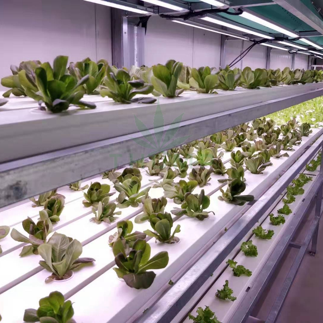 Shipping Container Farm