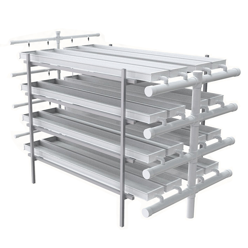 Growing Fodder in Greenhouse_hydroponic Fodder Growing Systems