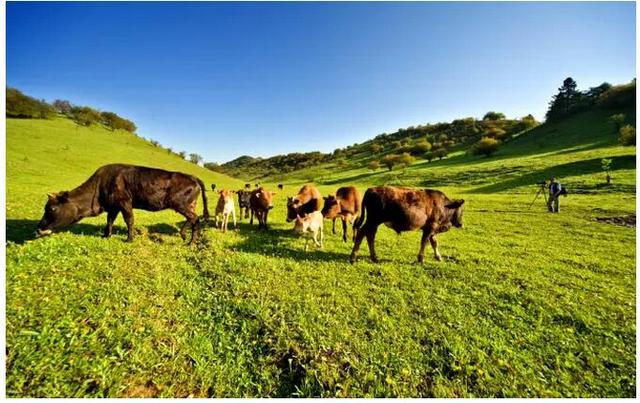 Three factors for sustainable development of agriculture and animal husbandry in Brazil