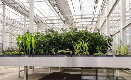 rolling grow table.jpg