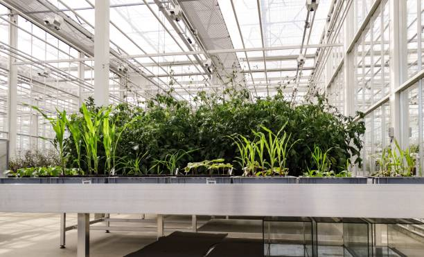 Do Rolling Tables Require a Track System?