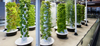 Vertical Farming Aeroponic Growing System Hotsale
