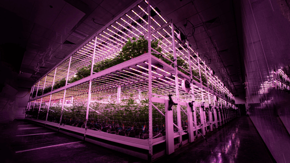 vertical grow racks.png