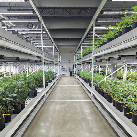 mobile grow rack.jpg