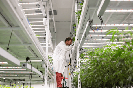 vertical grow rack system.png