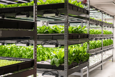 vertical farming system.png