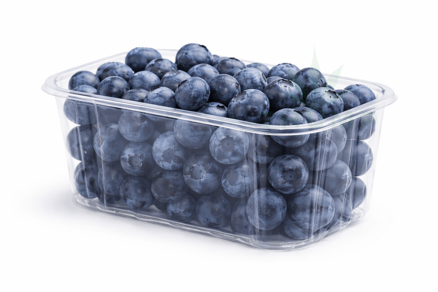 Wholesale Fruit Punnets