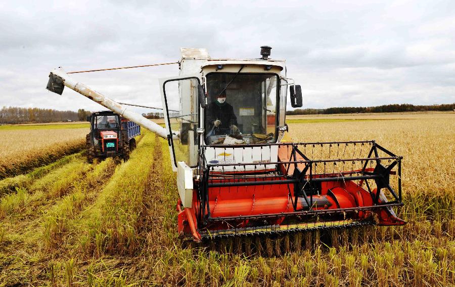 The autumn harvest of grain in Kazakhstan has been completed