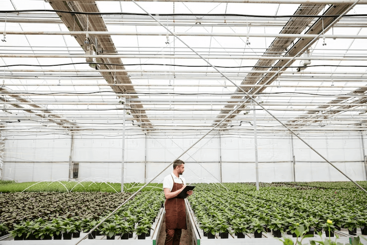 How Much Does it Cost to Setup a Commercial Grow Greenhouse