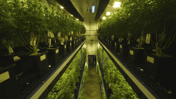 vertical grow rack system.png