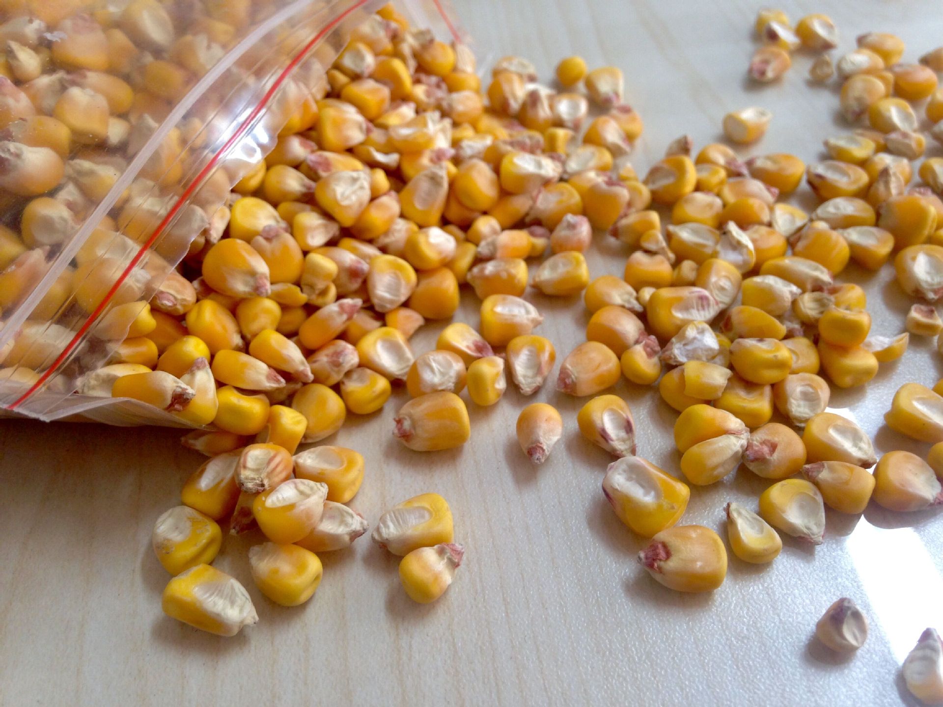 Experts predict that corn in Ukraine will be in short supply