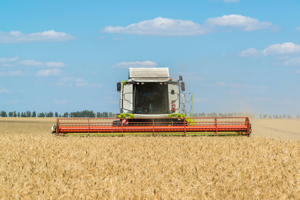 Russian wheat exports hit a seven-year high