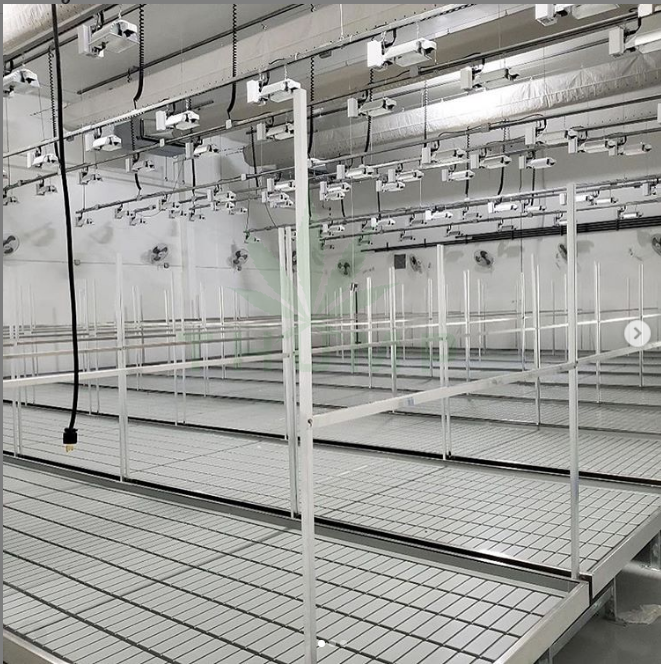 Agriculture Greenhouse Movable Rolling Bench Ebb And Flow Grow Hydroponic Seedling Table 
